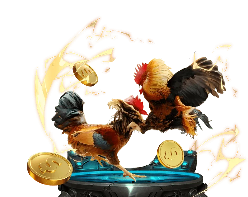 Hướng dẫn sòng bạc trực tuyến